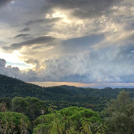 Casa Con Vista Y Jardin, A 20' De La Playa Villa Sant Cebrià de Vallalta Dış mekan fotoğraf