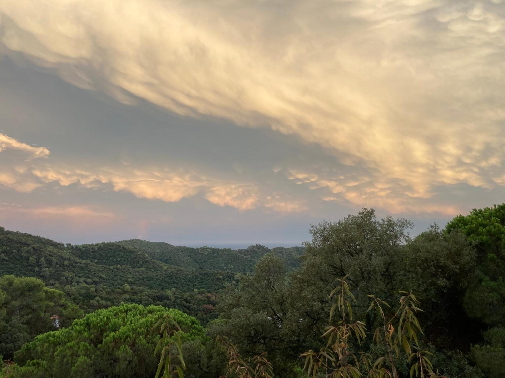Casa Con Vista Y Jardin, A 20' De La Playa Villa Sant Cebrià de Vallalta Dış mekan fotoğraf