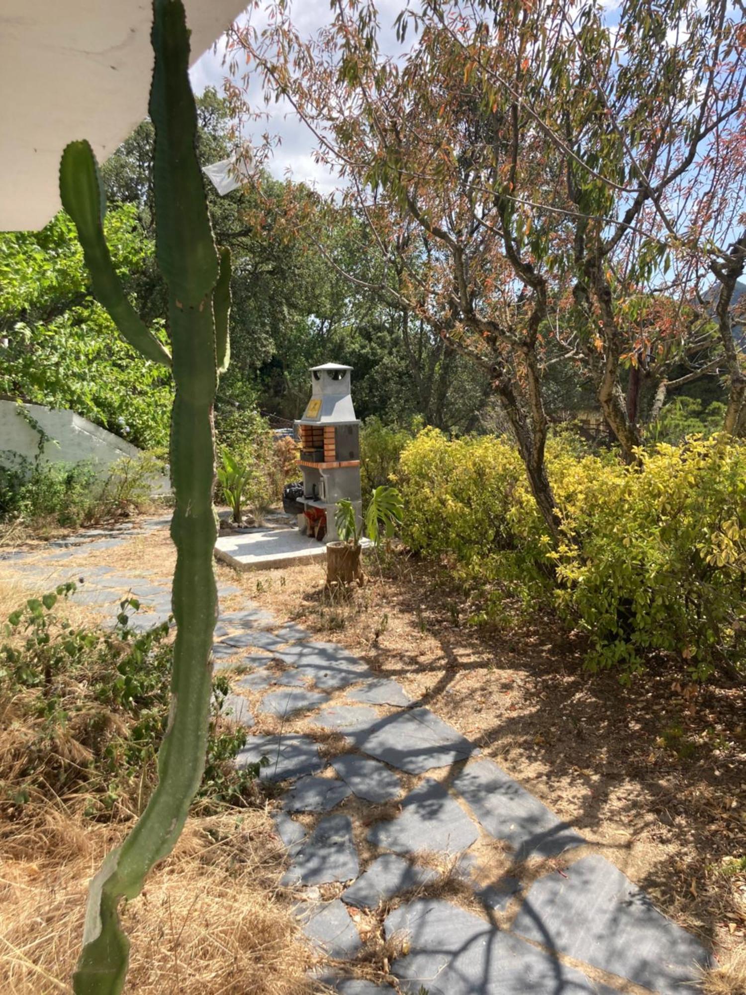 Casa Con Vista Y Jardin, A 20' De La Playa Villa Sant Cebrià de Vallalta Dış mekan fotoğraf